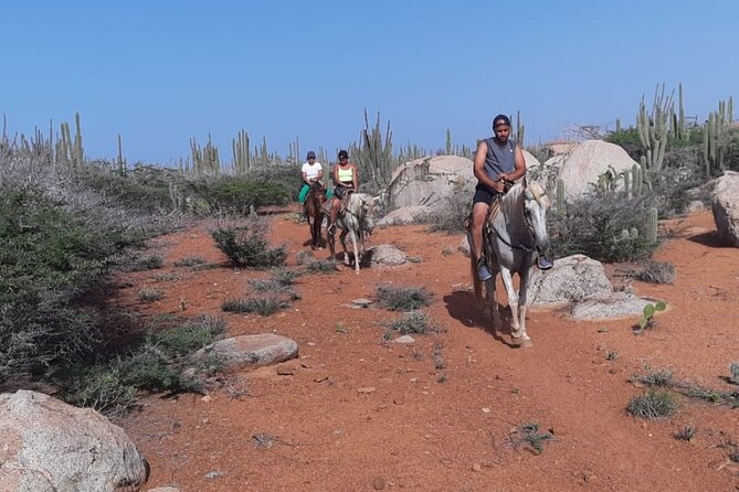 Aruba Horseback Riding Tour to Hidden Lagoon - The hidden lagoon stop: wildlife, photos, and mixed expectations