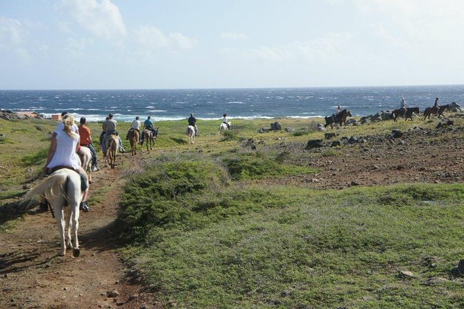 Aruba Horseback Riding Tour to Hidden Lagoon - Rancho Notorious: safety briefing, helmet use, and choosing your horse