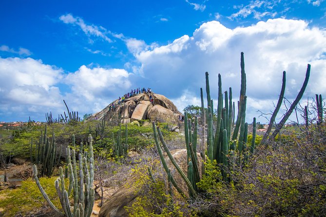 Aruba Island Sightseeing Tour Plus Arashi Beach Visit - Price and value: what $59 buys you on Aruba