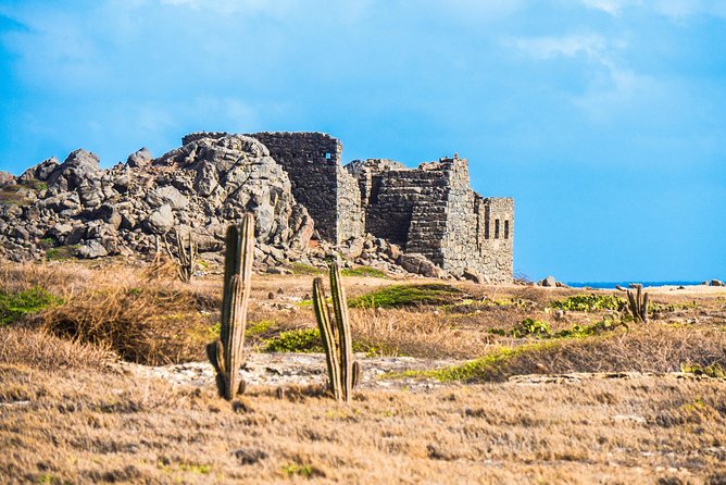 Aruba Island Sightseeing Tour Plus Arashi Beach Visit - Guide quality, bus comfort, and how to avoid a rough day