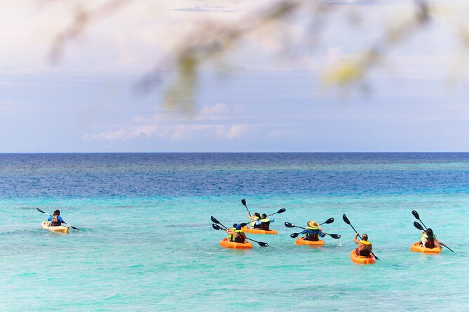 Aruba Kayak Explorers - What This Aruba Kayak Tour Is Really About