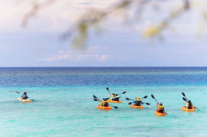 Aruba Kayak Explorers - Snorkeling Mangel Halto Barrier Reef: Safety First, Fun Always