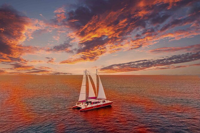 Aruba Morning Snorkeling or Sunset Sail to Boca Catalina With BBQ - Key things to know before you go