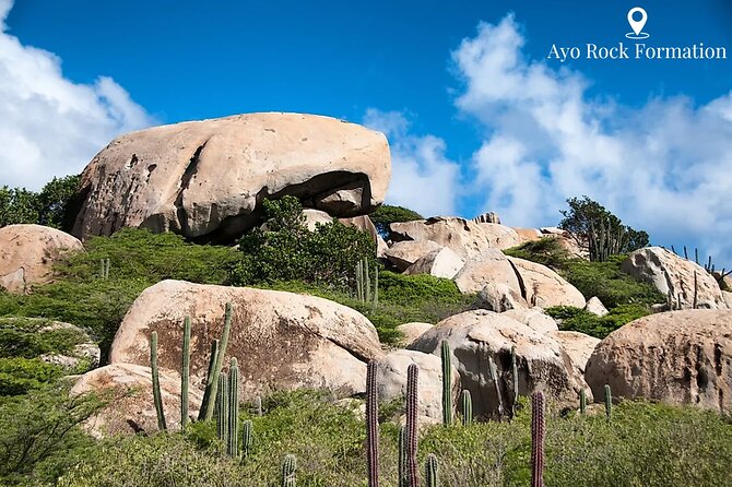 Aruba Natural Wonders Caves and Natural Pool Jeep Tour - Fontein Cave: Arawak drawings and the playful fish pedicure