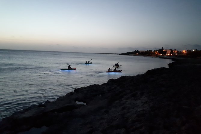 Aruba Night Glass Kayak Tour - Arashi Beach at 6:00 pm: the easy start
