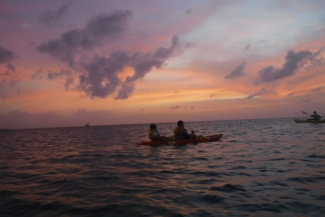 Aruba Night Glass Kayak Tour - The route on the water: coral beds, fish activity, and a shipwreck stop