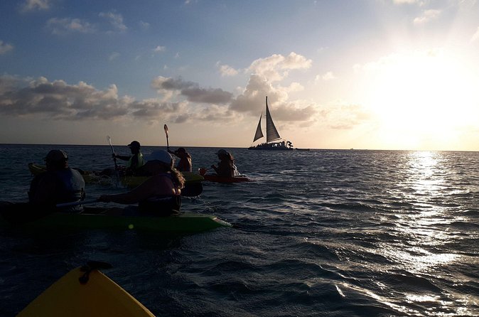 Aruba Night Glass Kayak Tour - Price and value: why $80 can be a fair deal (or not)