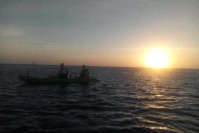 Aruba Night Glass Kayak Tour - Who this suits best (and who should rethink it)