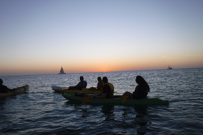 Aruba Night Glass Kayak Tour - LEDs and the “night glass” effect: what you’ll really see