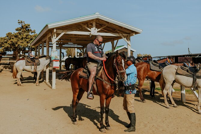 Aruba North Coastline: Small-Group Horseback Riding Tour - What $100 buys you on the Aruba north coast