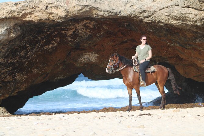 Aruba North Coastline: Small-Group Horseback Riding Tour - Practical timing and what to expect on the day of the ride