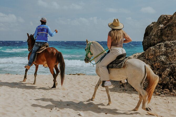 Aruba North Coastline: Small-Group Horseback Riding Tour - Matividiri to the sea: ocean views almost immediately