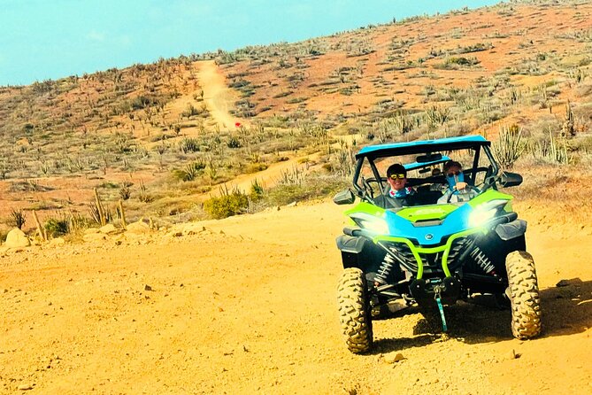 Aruba Northcoast UTV Afternoon Tour - The Ride Experience: What the UTV Feels Like and How to Prepare