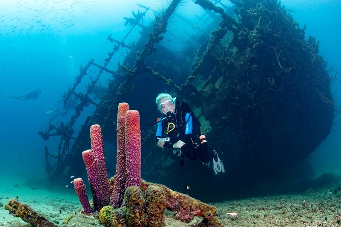 Aruba One or Two Tank Scuba Dive - Why Piet’s Pier Bar is the smart start in Noord