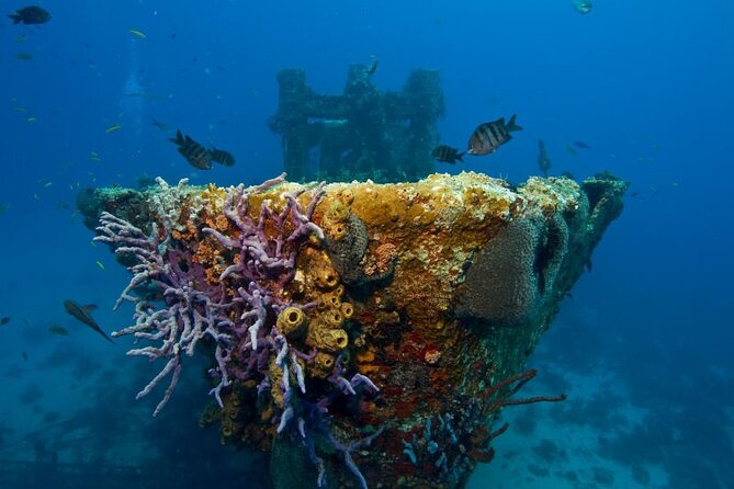 Aruba One or Two Tank Scuba Dive - Boat ride reality: warm water, low-current planning, and changing sites