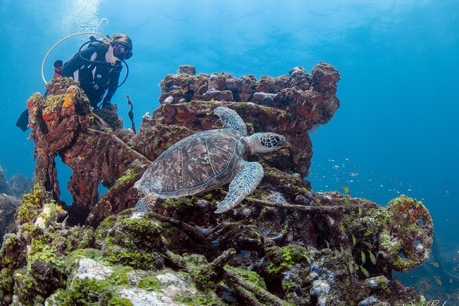Aruba One or Two Tank Scuba Dive - Meet the crew: Johan, Ozzie, and Captain Rudolph