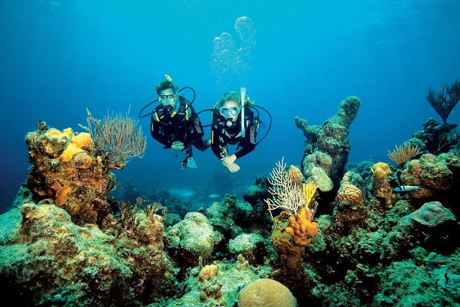 Aruba One or Two Tank Scuba Dive - Price value at $30.74: what you get and what to watch