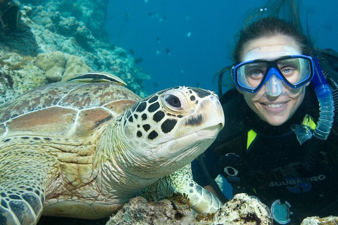 Aruba One or Two Tank Scuba Dive - Who this Aruba session fits best (and who should skip it)