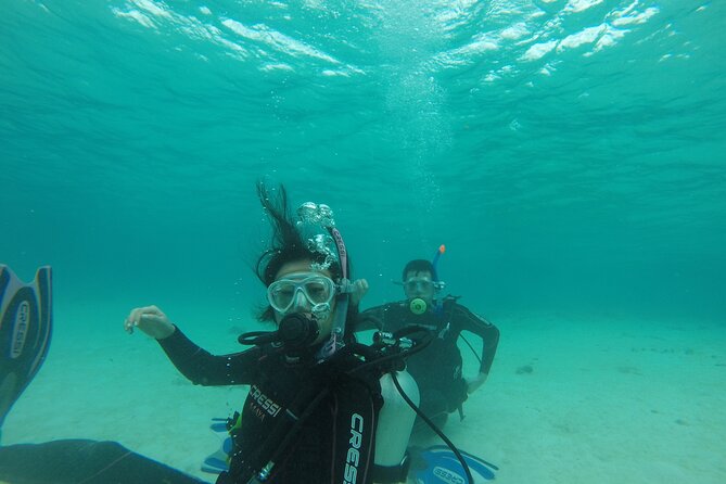 Aruba PADI Scuba Diving Program Non Certified Divers - Meeting at Savaneta and pickup: keep your day flexible
