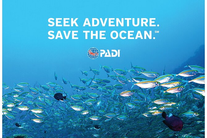 Aruba PADI Scuba Diving Program Non Certified Divers - Price and value at $99: who it’s worth and who should compare