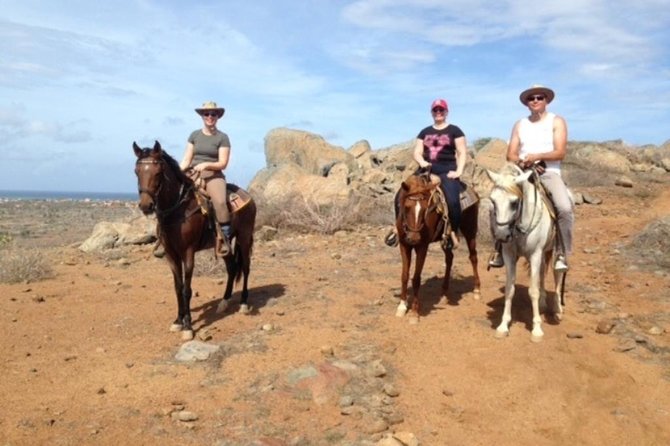 Aruba Private, 2 Hour Horseback Riding Tour For Advanced Riders - What you’ll notice most (before you even mount)