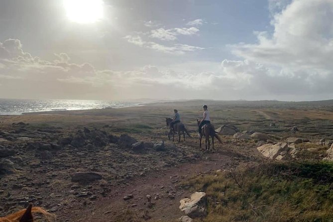 Aruba Private, 2 Hour Horseback Riding Tour For Advanced Riders - Riding the rugged northeast coast: trail time that stays interesting