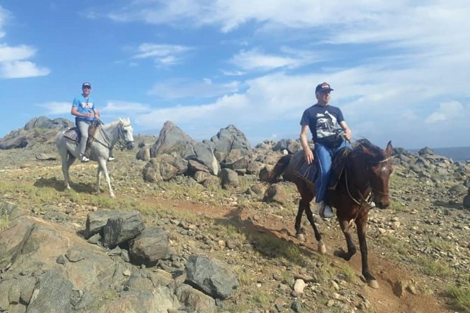 Aruba Private, 2 Hour Horseback Riding Tour For Advanced Riders - Beach options: the thrill is real, but conditions decide