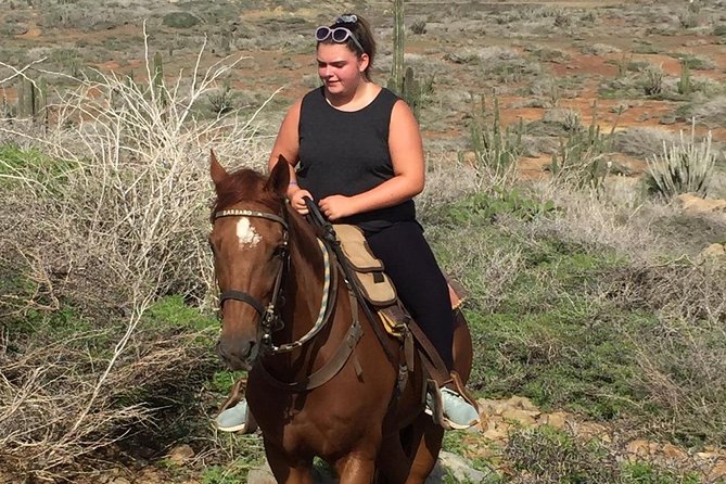 Aruba Private, 2 Hour Horseback Riding Tour For Advanced Riders - The guide’s role: matching you to the right horse