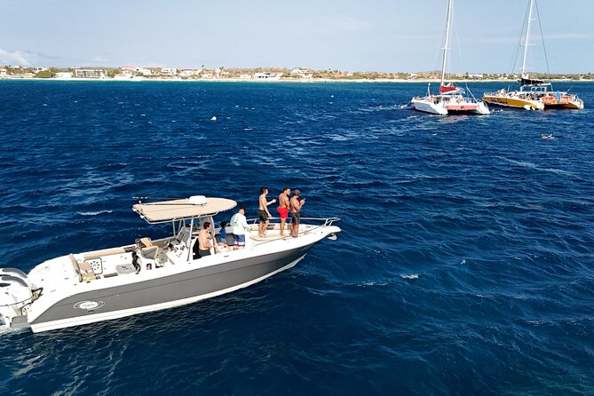 Aruba Private Boat Charter: Morning, Afternoon or Sunset Cruise - Snorkeling in Aruba: Gear, Sea Turtles, and Clear-Water Magic