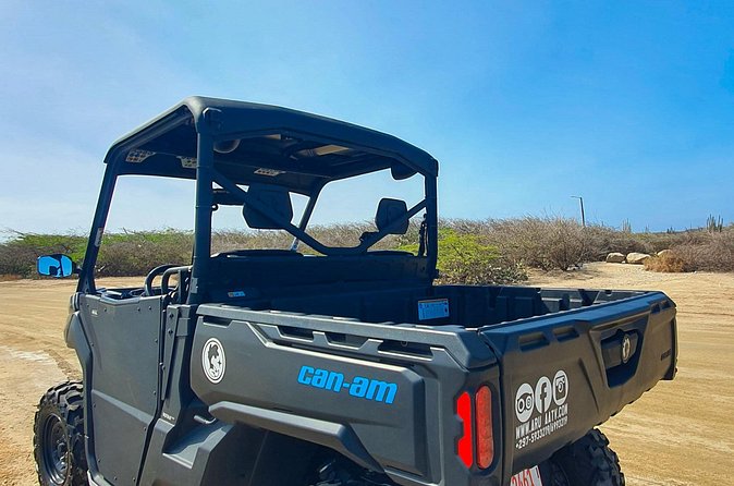 Aruba Rental Explore On Your Own - Building your own day: how to choose what matters