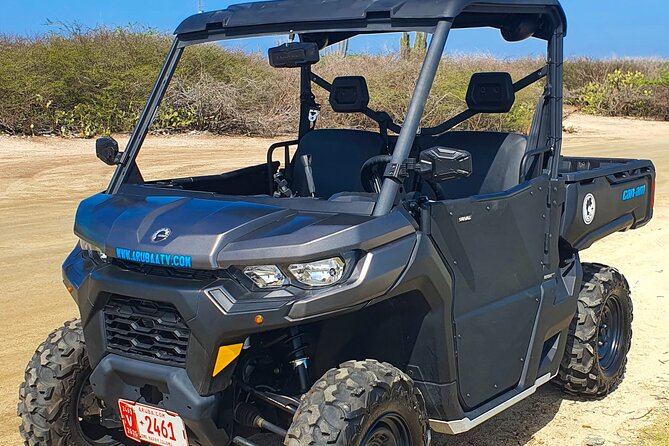 Aruba Rental Explore On Your Own - Price and value: what you’re paying for at $246.16 per group