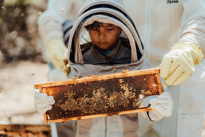 Aruba´s Bee Haven Private Adventure - Aruba’s Bee Haven: a different kind of afternoon