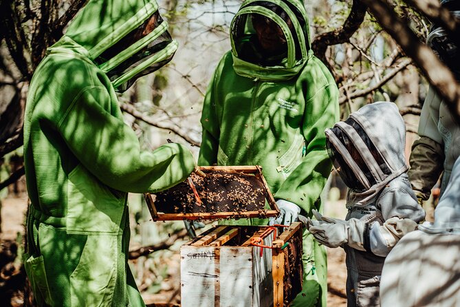 Aruba´s Bee Haven Private Adventure - Bee suits and safety: what makes people feel comfortable