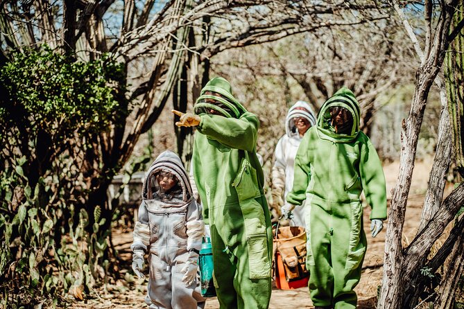 Aruba´s Bee Haven Private Adventure - Touring the apiary and the cunucu area: seeing honey work up close