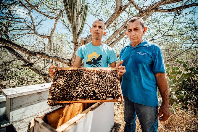 Aruba´s Bee Haven Private Adventure - The 2-hour Cunucu Bee Adventure flow (what happens first, next, last)