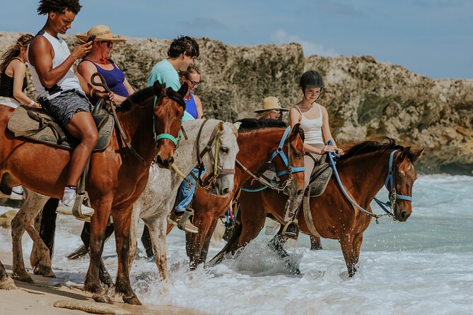 Aruba's Northern Coast Horseback Adventure - Key Things You’ll Notice on This Northern Coast Ride