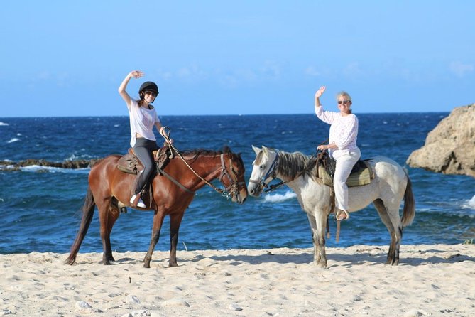Aruba's Northern Coast Horseback Adventure - Guides and Horses: Why This Feels Safe and Fun