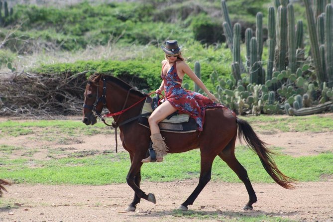 Aruba's Northern Coast Horseback Adventure - When You Should Book: Morning Energy vs. Crowd Feel
