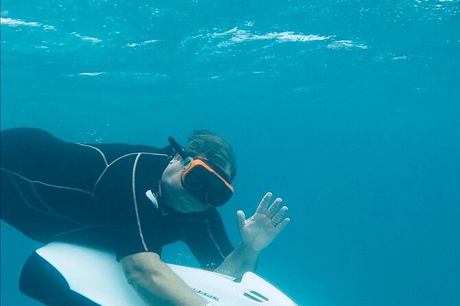 Aruba Seabob Scooter Reef Tour - What the water feels like: quiet power, close encounters, and a bit of effort