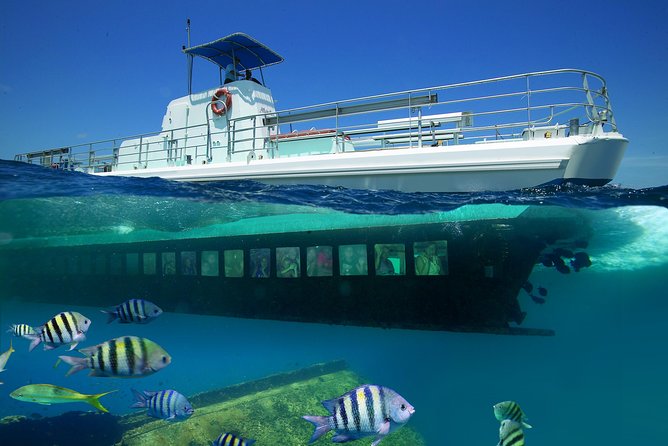 Aruba Semi-Submarine Cruise from Palm Beach - Arriving at De Palm Pier and meeting the Seaworld Explorer