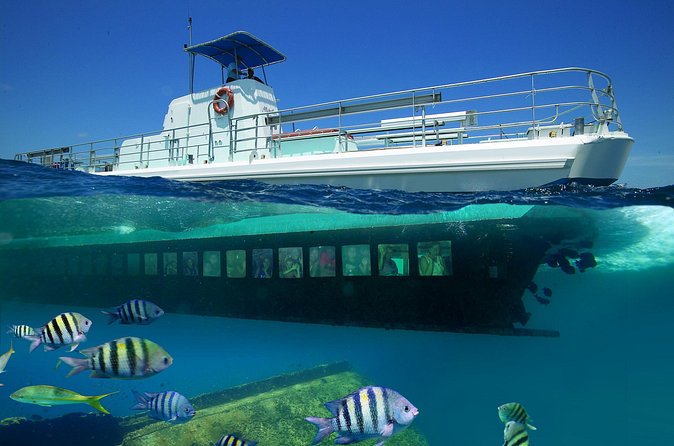 Aruba Semi-Submarine Cruise from Palm Beach - The on-board crew: captain commentary and a marine expert on hand