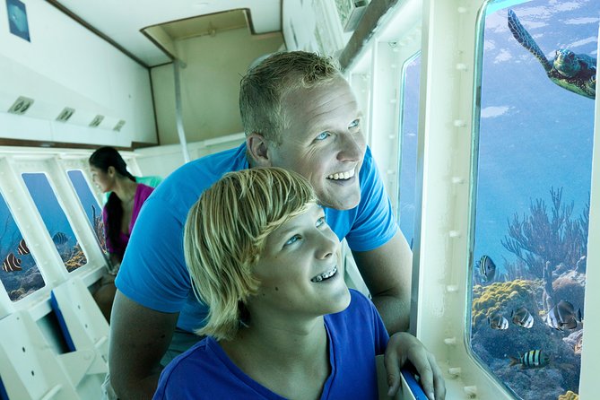 Aruba Semi-Submarine Cruise from Palm Beach - Arashi Reef and Arashi Beach: the calm-water lead-in