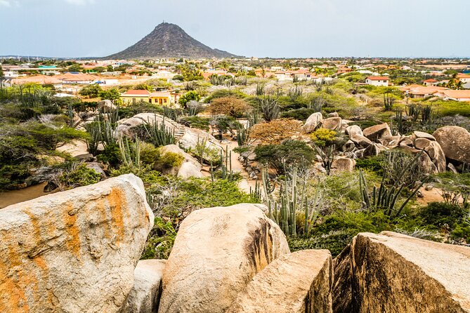 Aruba Sightseeing Tour with Transport - Key Points to Know Before You Go
