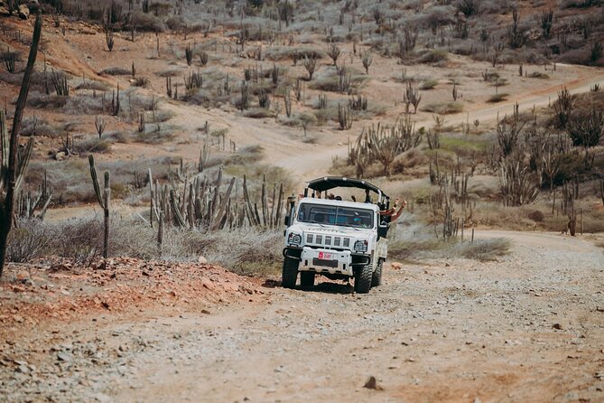 Aruba Signature Jeep Tour: Natural Pool and Baby Beach - Conchi Natural Pool: quick timing, big payoff