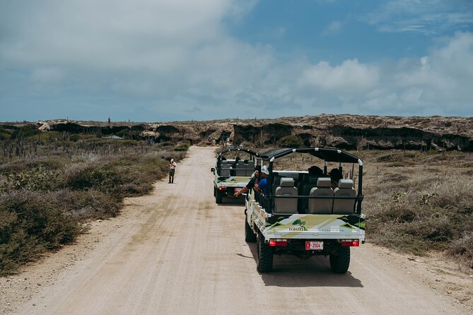 Aruba Signature Jeep Tour: Natural Pool and Baby Beach - Price and what you’ll actually pay (not just the headline number)