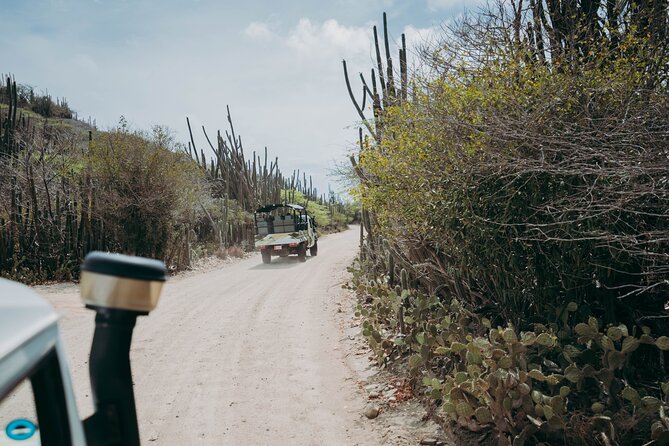 Aruba Signature Jeep Tour: Natural Pool and Baby Beach - Arikok Natural Pool: the main swim, plus the stair reality