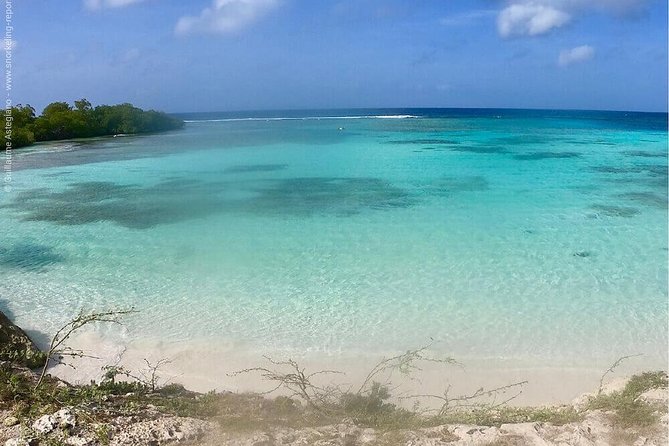 Aruba Snorkeling Tour: Mangel Halto and Baby Beach - Stop 2: Baby Beach Calm Waters and Easy Visibility