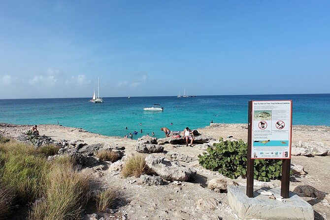 Aruba Turtle Spotting Snorkeling Adventure - Tres Trapi Beach: your turtle hunt starts in Noord