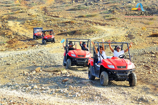 Aruba UTV Rentals For Off-Road Adventure - Beaches, animals, and ruins: Arashi, Malmok, Eagle, Donkey Sanctuary, and more
