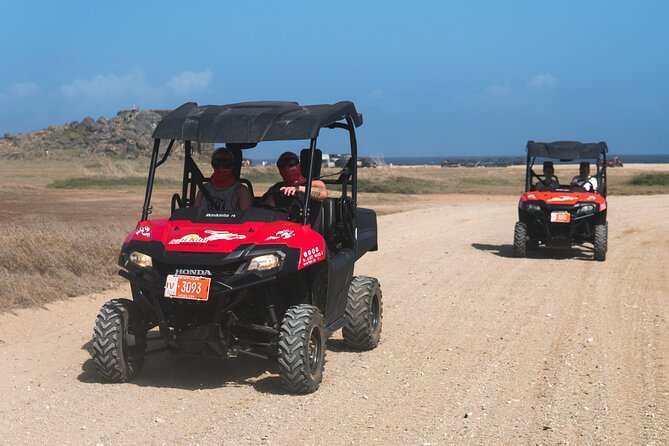 Aruban Roots 3 Hours Adventure by ATV & UTV with Kini Kini - Key reasons people love this Kini Kini ATV adventure